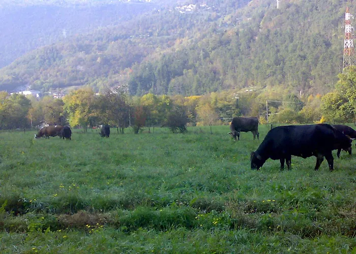 Agriturismo Biobio