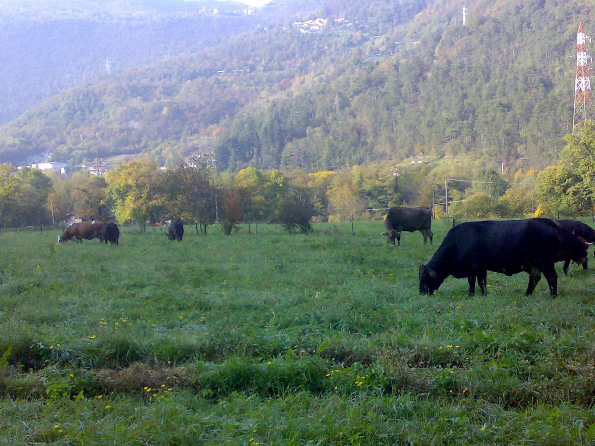 Farm stay Agriturismo Biobio